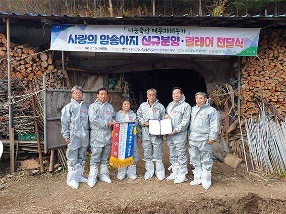 농협강원지역본부, 나눔축산 '사랑의 암송아지 신규분양 및 릴레이 전달' 행사
