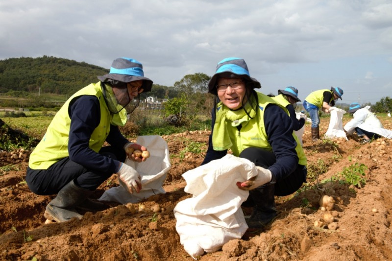 사진=NH농협손해보험
