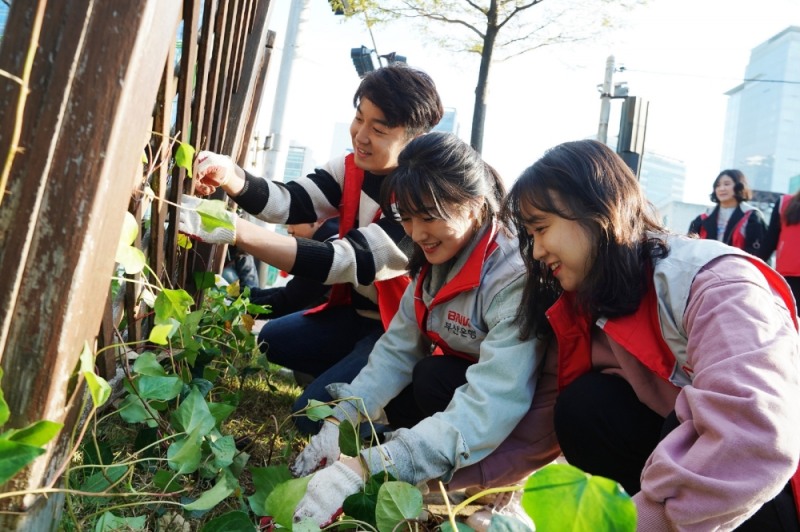 부산은행 임직원으로 구성된 ‘부산은행 희망드림봉사단’ 100여명이 지난 2일 오전, 해운대 APEC나루공원에서 ‘공원의 친구되는 날’ 봉사활동을 실시했다./사진=부산은행