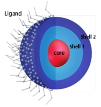 △삼성전자 퀀텀닷 구조. 코어(Core) : 실제 발광이 일어나는 부분으로 코어의 크기가 발광 파장을 결정함, 쉘(Shell) : 코어의 발광 효율과 안정성을 높여주는 역할, 리간드(Ligand) : 퀀텀닷 입자 분산 및 서로 뭉치는 현상을 막아주는 역할/사진=삼성전자