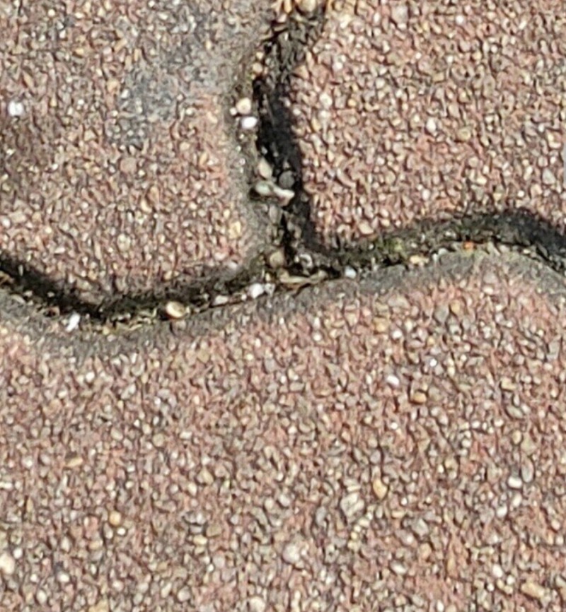 한 이통사 직원을 통해 유출된 삼성전자 갤럭시 S20+로 2층 높이에서 촬영한 보도블럭 사진