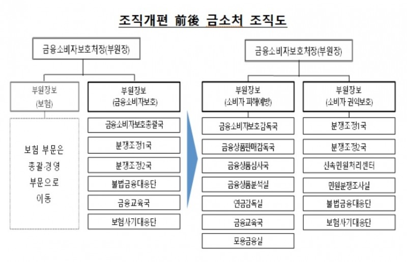 금융소비자보호처 개편 전후./사진=금융감독원