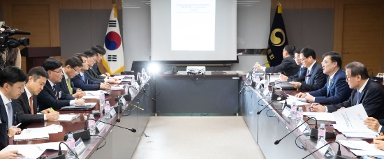 30일 정부서울청사에서 보험 자본건전성 선진화 추진단 제4차 회의가 열리고 있다. / 사진 = 금융위