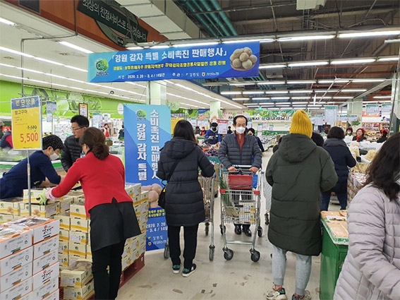 강원도 감자 소비촉진 특별 판매행사 실시