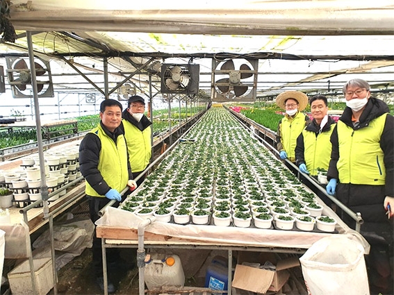 인천농협 검사국, 화훼농가 농촌일손 돕기 실시