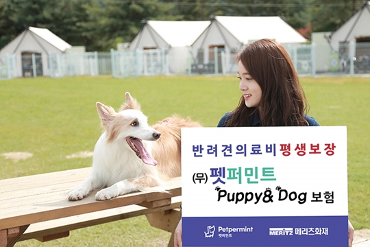 메리츠화재, 나홀로 성장 비결은 데이터 기반 전략 수립