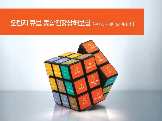 보장 조립 DIY 고객 친화 생명보험 상품 뜬다