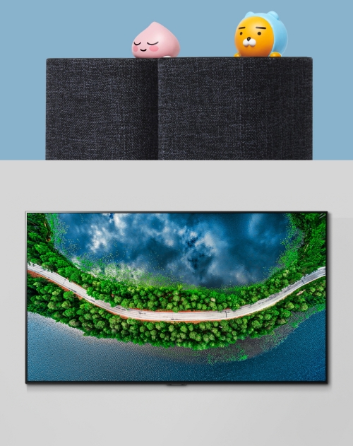 (상단) 카카오 AI 스피커 카카오미니 (하단) LG전자 올레드 GX 모델/사진=오승혁 기자