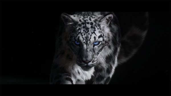 다이나핏이 2020년 S/S 시즌의 새로운 광고 캠페인을 13일 공개했다. /사진=다이나핏.