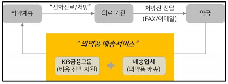 KB금융 무료 의약품 배송 서비스 / 자료= KB금융지주