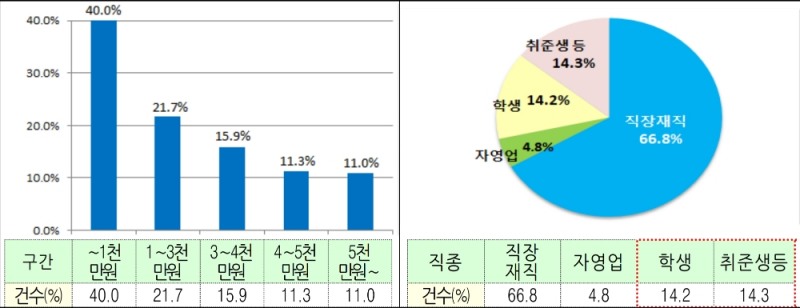 △ 소득구간별 이용비중(왼쪽)과 직종별 이용분포(오른쪽)(%, 건수기준). /사진=금융위원회