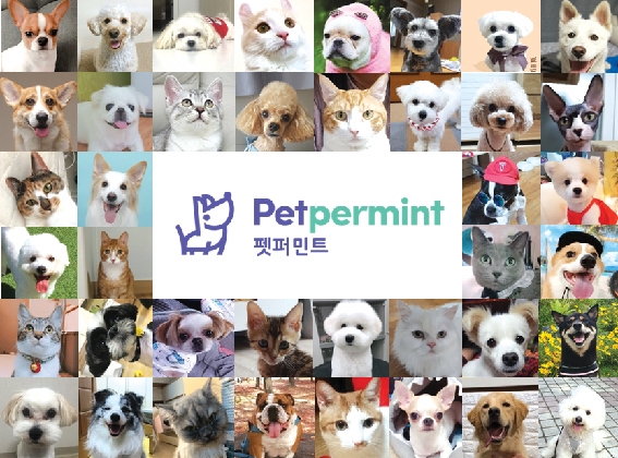 ▲ 메리츠화재의 반려동물 보험 ‘펫퍼민트’가 차별적 전략을 앞세워 손해보험업계 펫보험 시장을 선점했다.