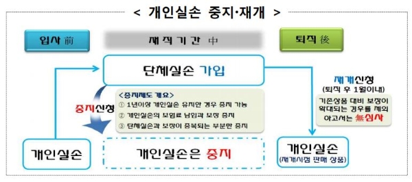 개인실손 중지·재개 제도. / 사진 = 금융위원회