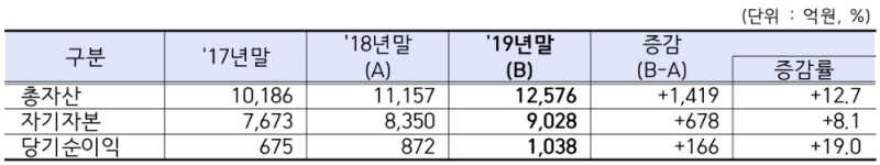 △ 2019년 신용정보회사의 영업 현황. /자료=금감원
