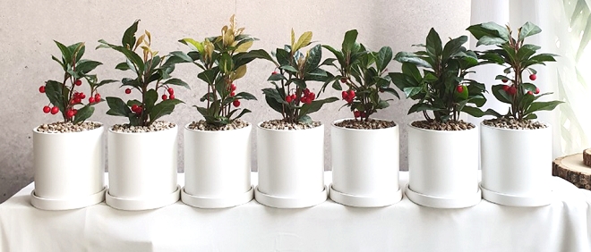 권영수 LG 부회장이 구입한 꽃. 사진=LG 공식 페이스북.