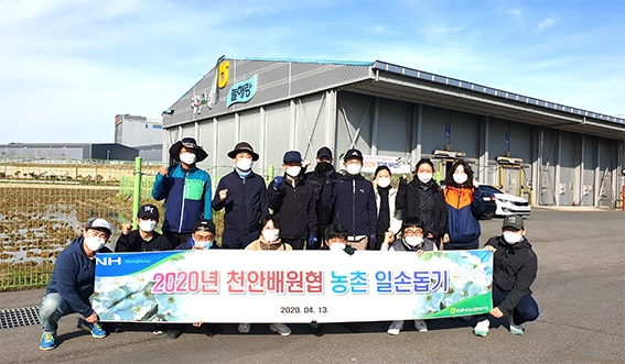 NH농협무역, 농촌일손돕기 실시
