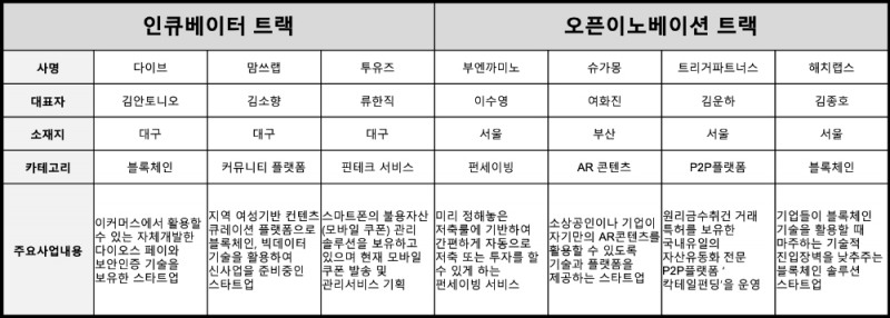 △ DGB 2020 피움랩 2기 선발 스타트업 개요. /자료=DGB금융그룹