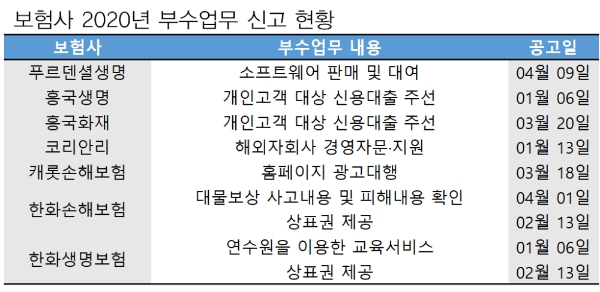 보험사 2020년 부수업무 신고 현황 / 자료 = 금융감독원
