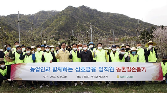 농협상호금융, 봄철 농촌 일손돕기 상생나눔 펼쳐