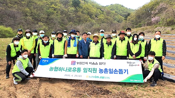 농협, 농업인과 함께 농촌 일손돕기