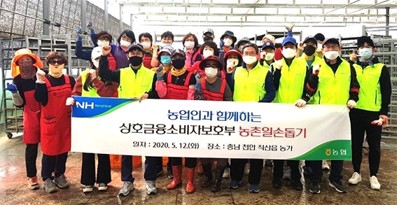 농협 상호금융, 모내기철 맞아 일손돕기 나서