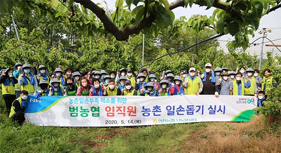 인천농협 나눔봉사단, 농번기 농촌일손돕기 실시