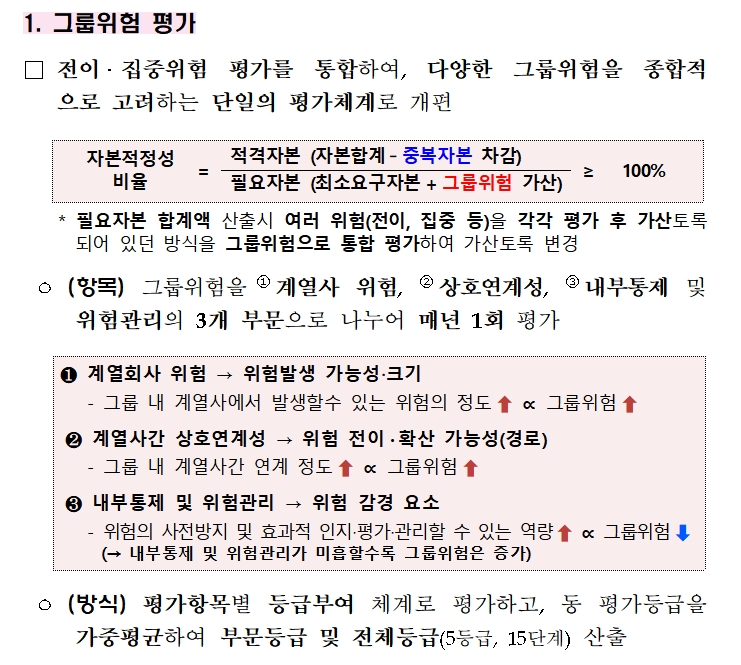 자본적정성 평가체계 개편 중 그룹위험 평가 / 자료= 금융위원회(2020.05.19)