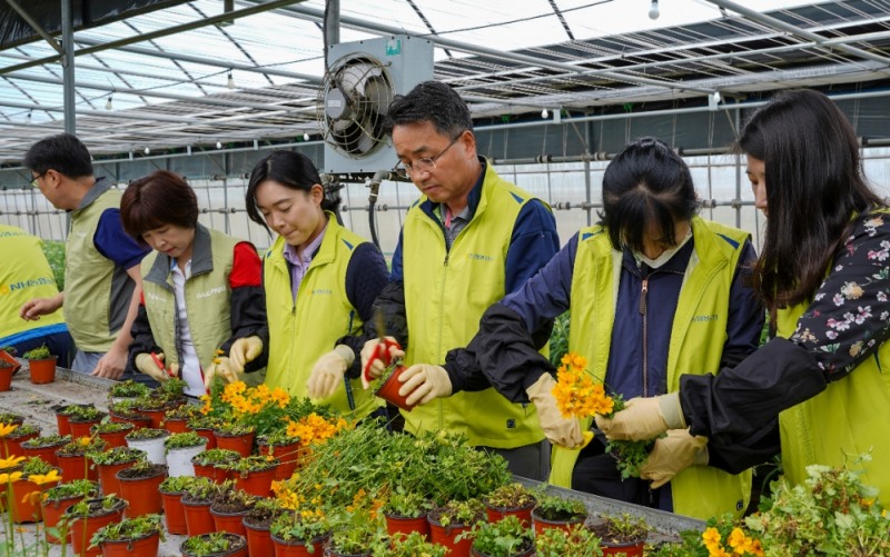 △ 김인태 NH농협금융 경영기획부문장(오른쪽 세 번째)과 임직원들이 화분 꽃 심기 작업을 하고 있다. /사진=NH농협금융
