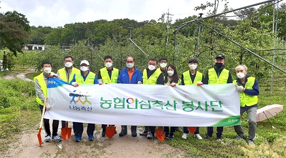 농협안심축산, 긴급 자매결연 농가 일손돕기 나서