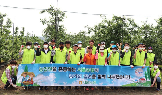 서울농협, 임직원 농촌일손돕기 실시