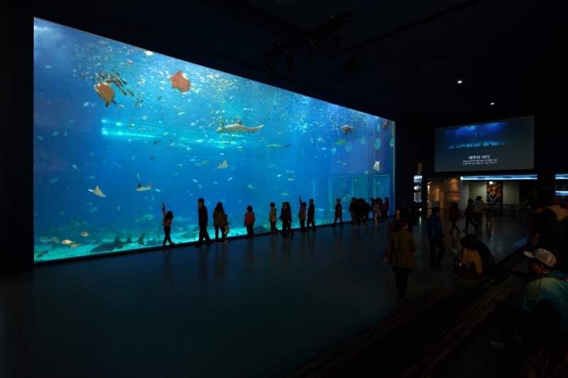 한화 아쿠아플라넷 제주 메인 수조/사진=한화호텔앤드리조트