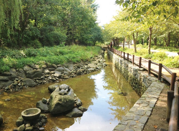 [서울시 이모저모] 시민의 손으로 만드는 힙한 공원, 서울숲