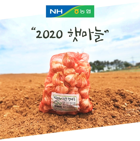 농협, 국민활력·농산물 소비촉진 위한 홈쇼핑 생방송 진행