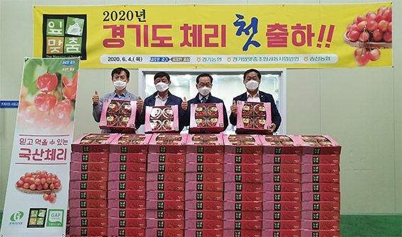 경기농협, '경기도 체리 첫 출하식'