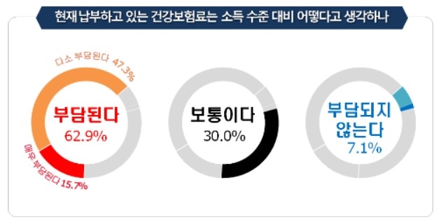 현재 소득 대비 건강보험료 부담/자료=경총