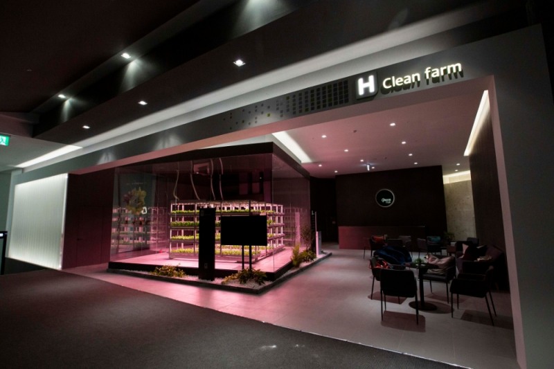 올해 현대건설이 선보인 'H-클린팜' / 사진=현대건설