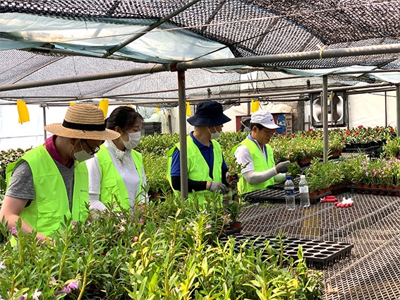 농협자산관리 경기지사, 농촌일손돕기 실시