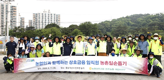 농협상호금융, 마늘농가 농촌일손돕기