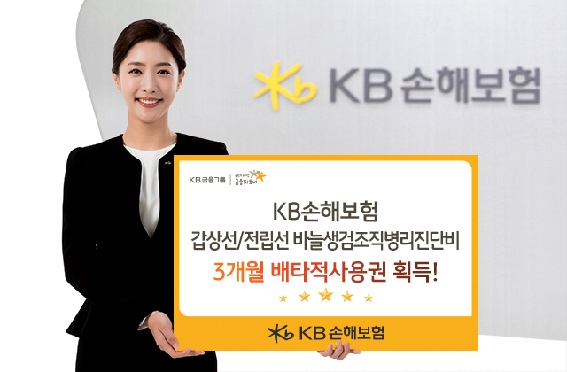 양종희 KB손보 대표, 지속 성장 ‘질주’