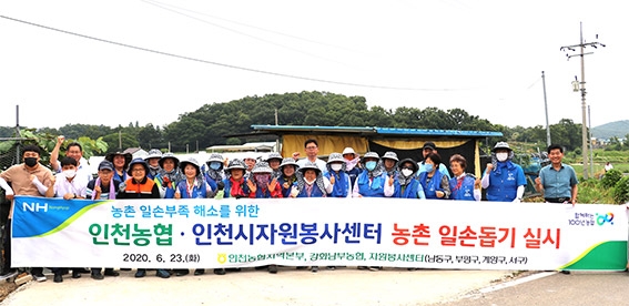 인천농협 · 강화남부농협 · 인천시자원봉사센터, 농번기 농촌일손돕기