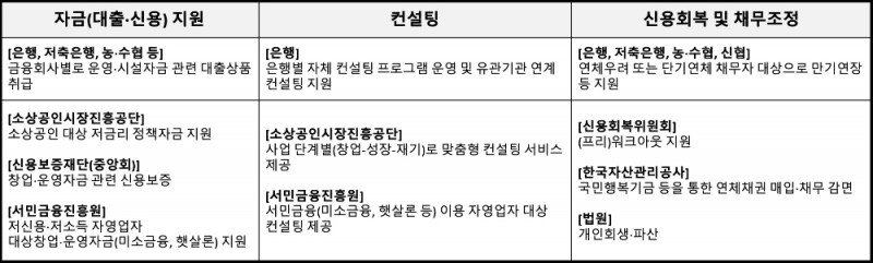 금감원의 주요 자영업자 지원제도. /자료=금감원