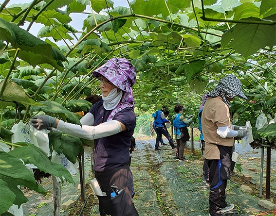 ▲사진은 박남춘 인천시장 부인 최혜경 여사.