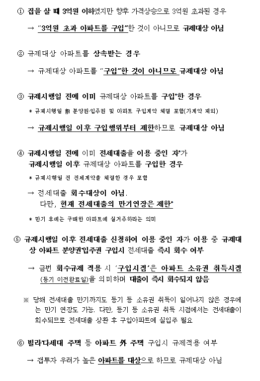 6.17대책의 전세대출 규제 주요 적용례 / 자료= 금융위원회(2020.07.08)