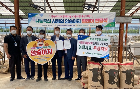 나눔축산 '사랑의 암송아지 릴레이 전달'