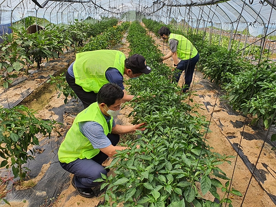 농협자산관리 경기지사, 농업인희망동행 실시