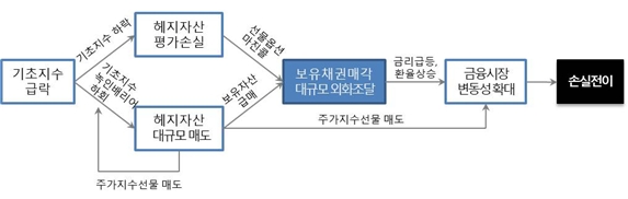 ▲파생결합증권으로 인한 시스템리스크 확대 경로./ 자료=금융위원회