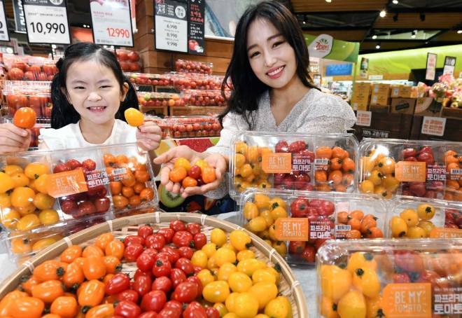 홈플러스는 대형마트 처음으로 ‘파프리카 토마토’를 선보인다. 사진=홈플러스.