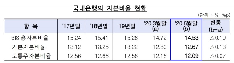 국내은행의 자본비율 현황. /자료=금감원