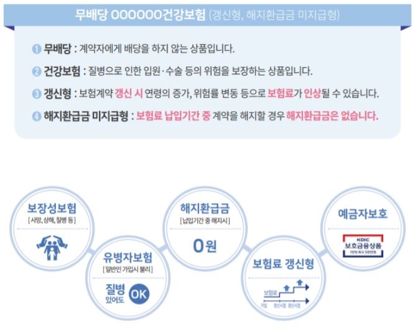 그림으로 표시한 보험상품 특징. / 사진 = 금융위원회