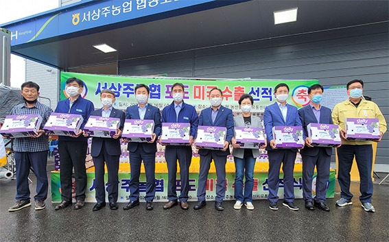 NH농협무역, 상주 포도 미국 수출길 열어